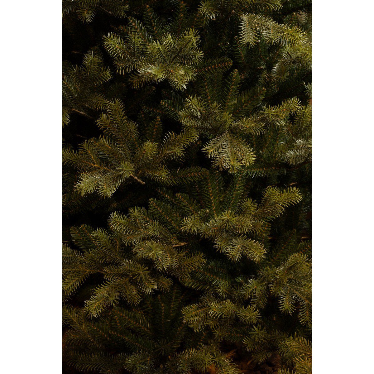 Kunstkerstboom Clive Groen - 155 cm