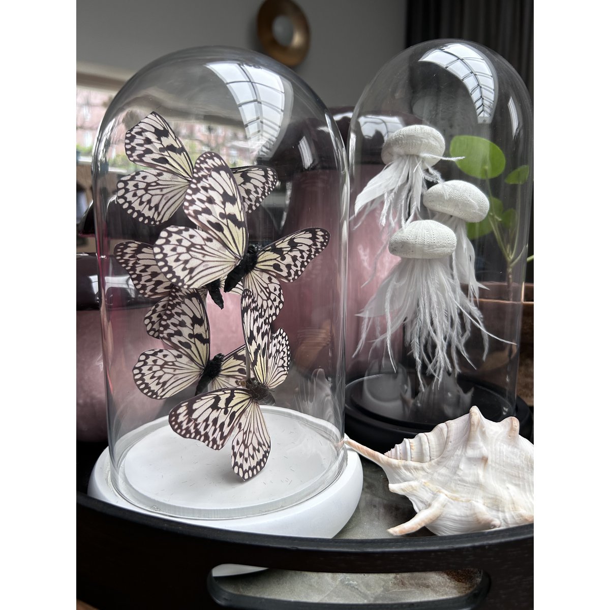 Decoratieve glazen stolp wit (set van 5)