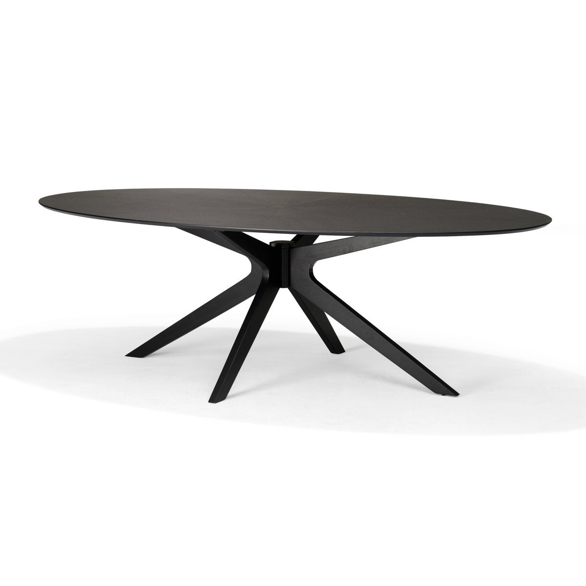 Salontafel Julia Ovaal Eiken Zwart - 120x70 cm - OutHome
