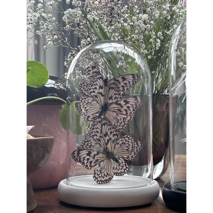 Decoratieve glazen stolp wit (set van 5)