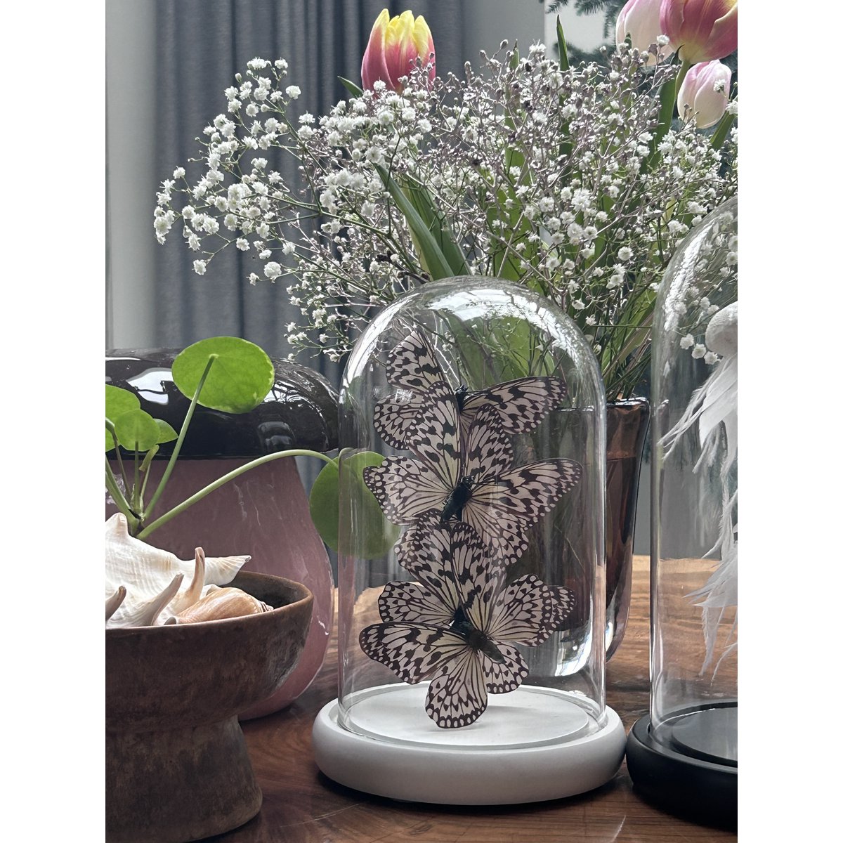 Decoratieve glazen stolp wit (set van 5)