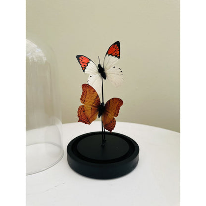 Decoratieve glazen stolp oranje/wit 11x21 cm