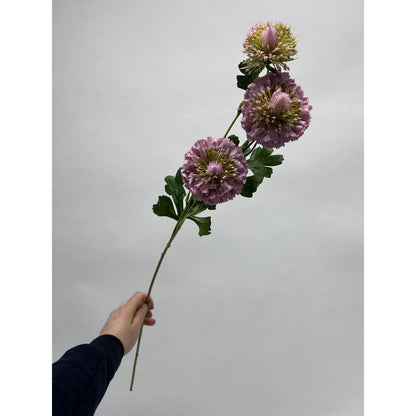 Zijden kunstbloem Scabiosa wit - 80 cm