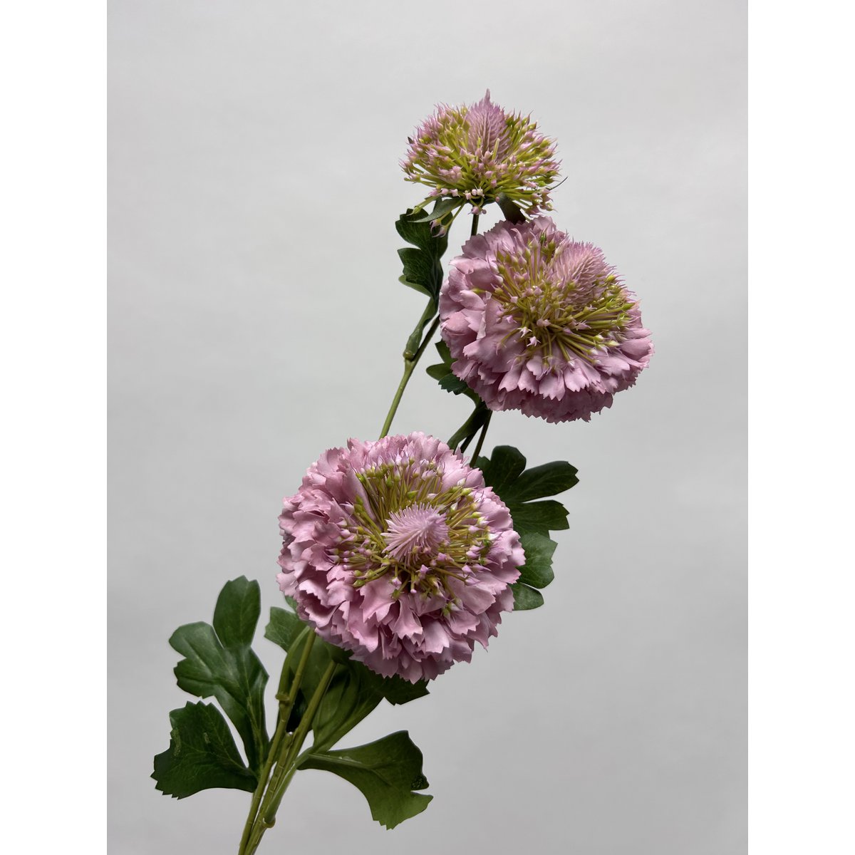 Zijden kunstbloem Scabiosa wit - 80 cm
