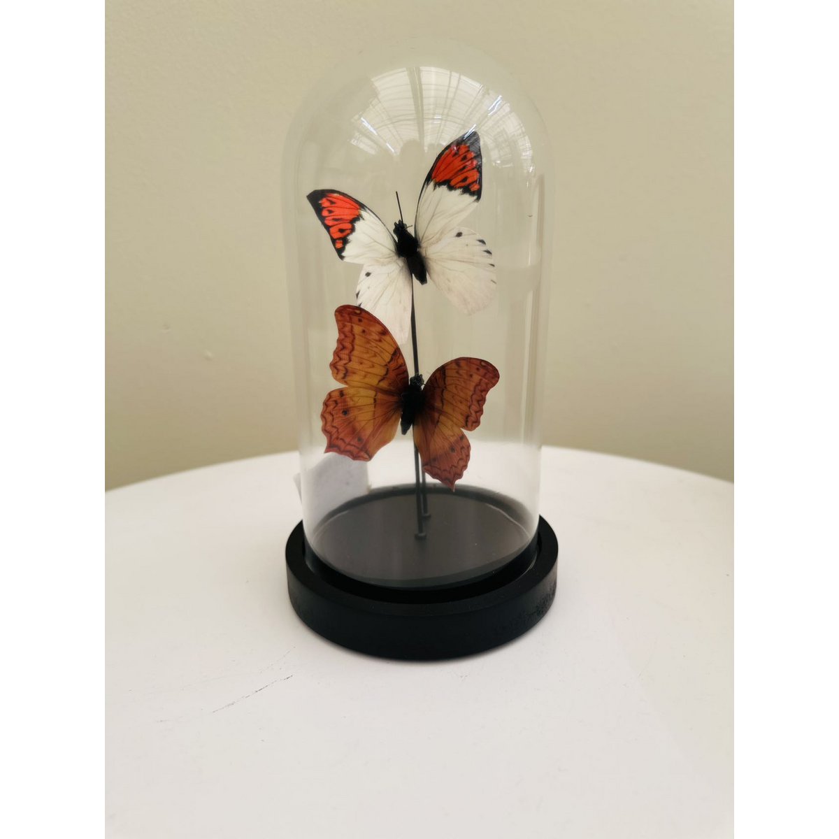 Decoratieve glazen stolp oranje/wit 11x21 cm