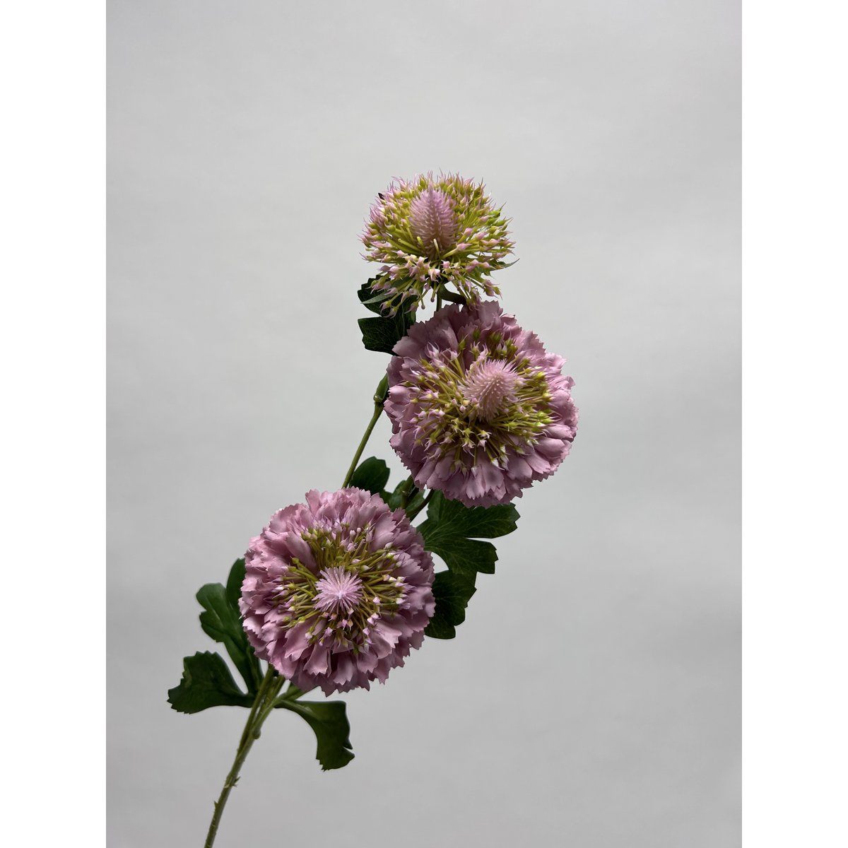 Zijden kunstbloem Scabiosa wit - 80 cm