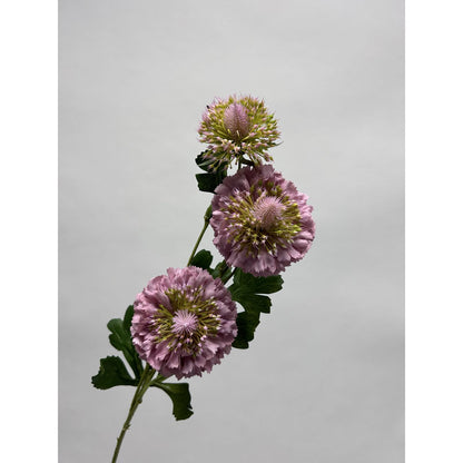 Zijden kunstbloem Scabiosa wit - 80 cm