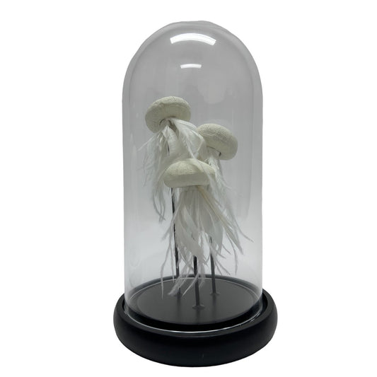 Decoratieve glazen stolp zwart