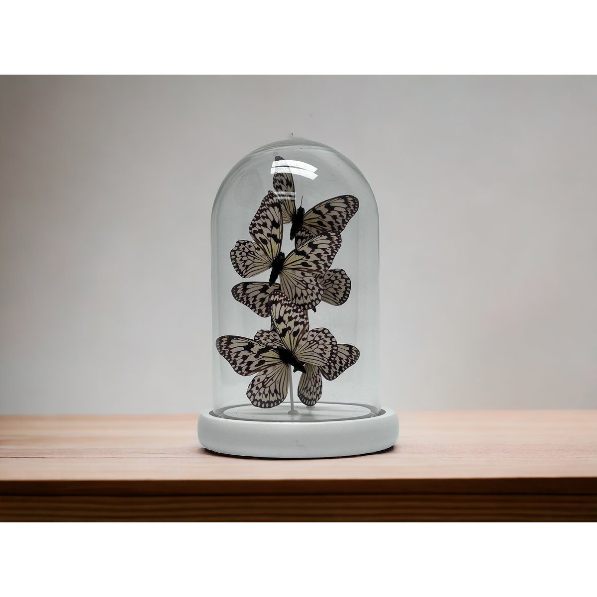 Decoratieve glazen stolp wit (set van 5)