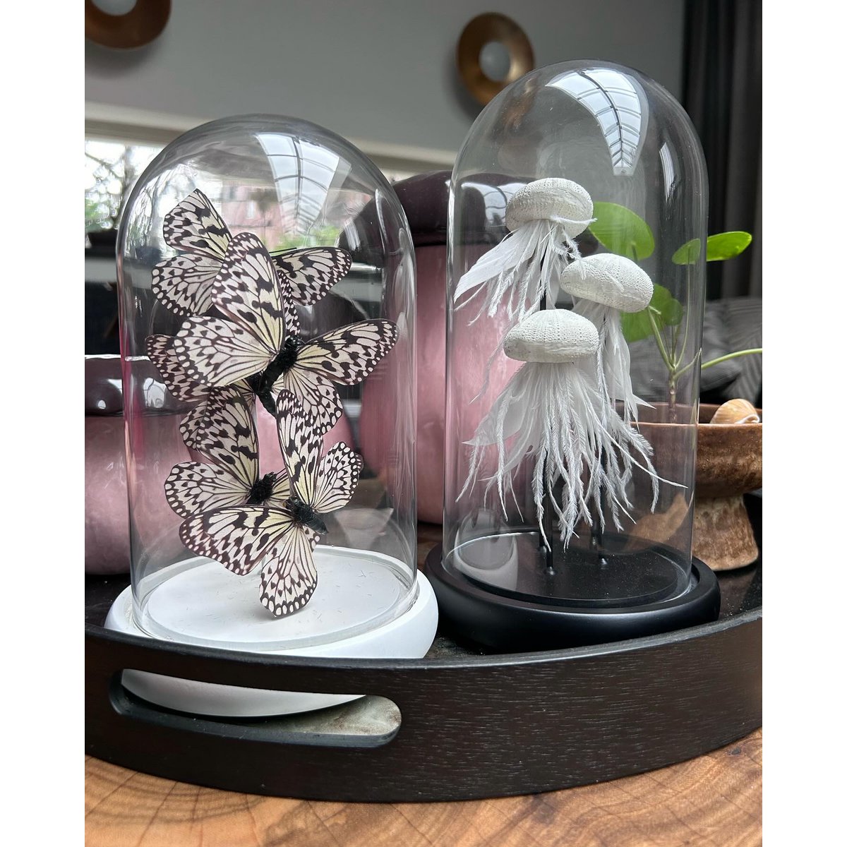 Decoratieve glazen stolp wit (set van 5)
