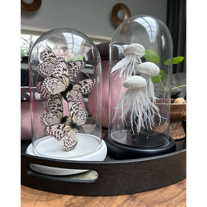 Decoratieve glazen stolp wit (set van 5)
