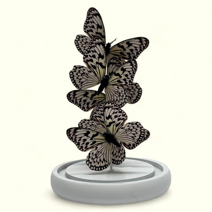Decoratieve glazen stolp wit (set van 5)