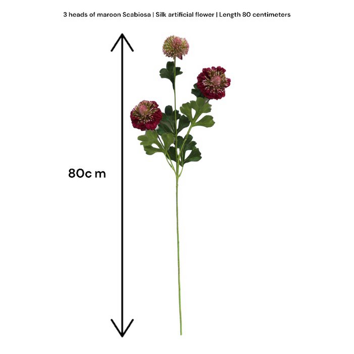 Zijden kunstbloem Scabiosa rood - 80 cm (Set van 2)