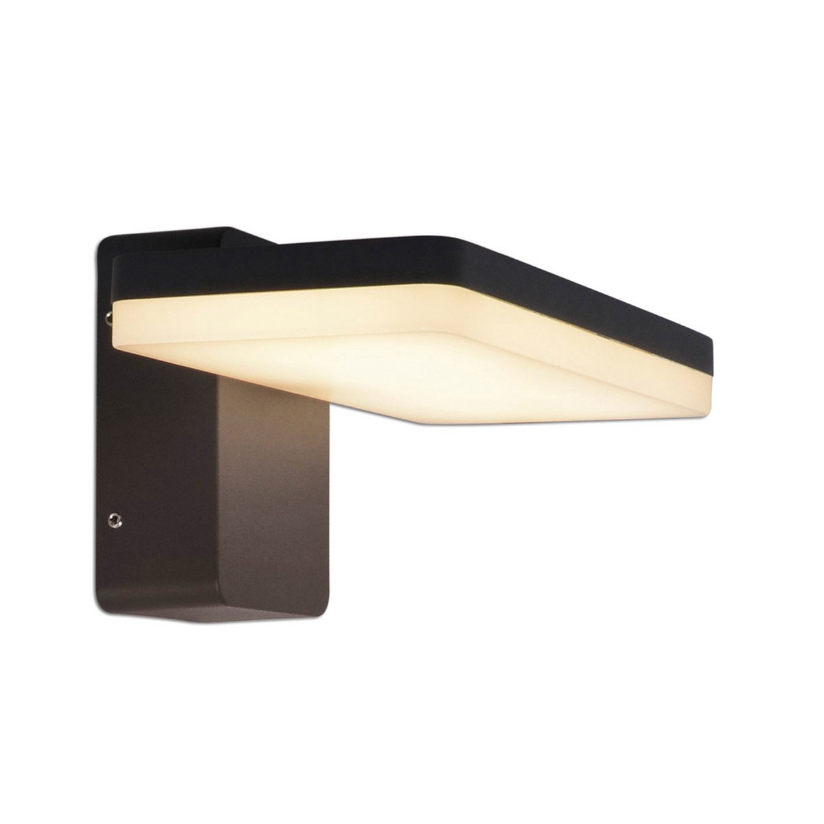 LED Buitenlamp Wand Clair Antraciet