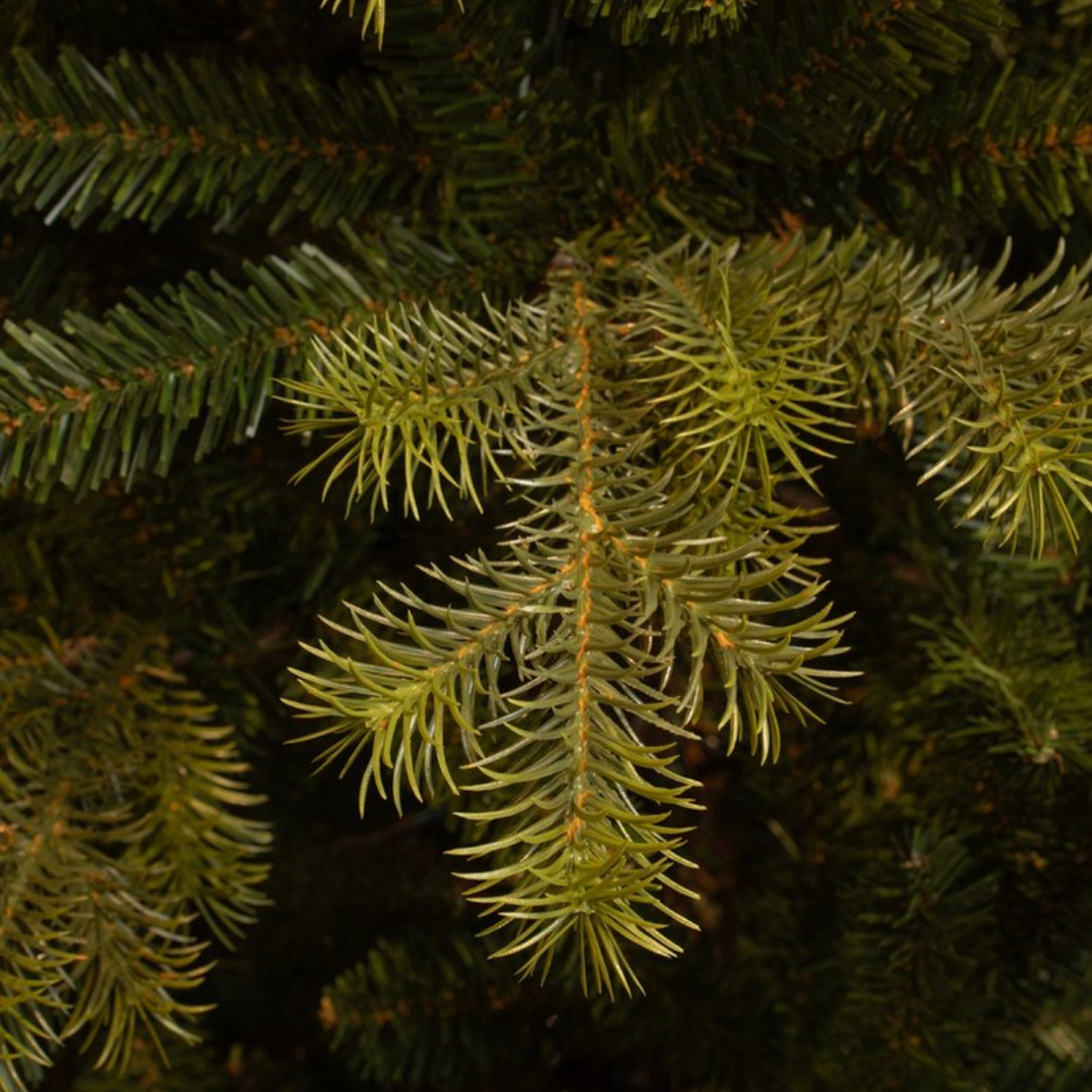 Kunstkerstboom Clive Groen - 215 cm