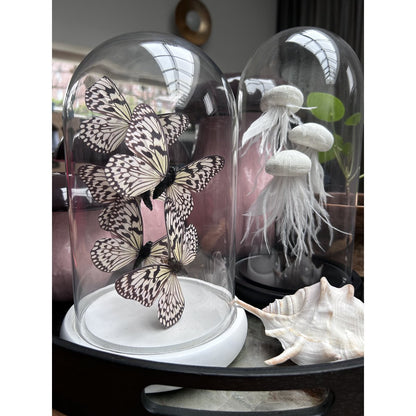 Decoratieve glazen stolp wit (set van 5)