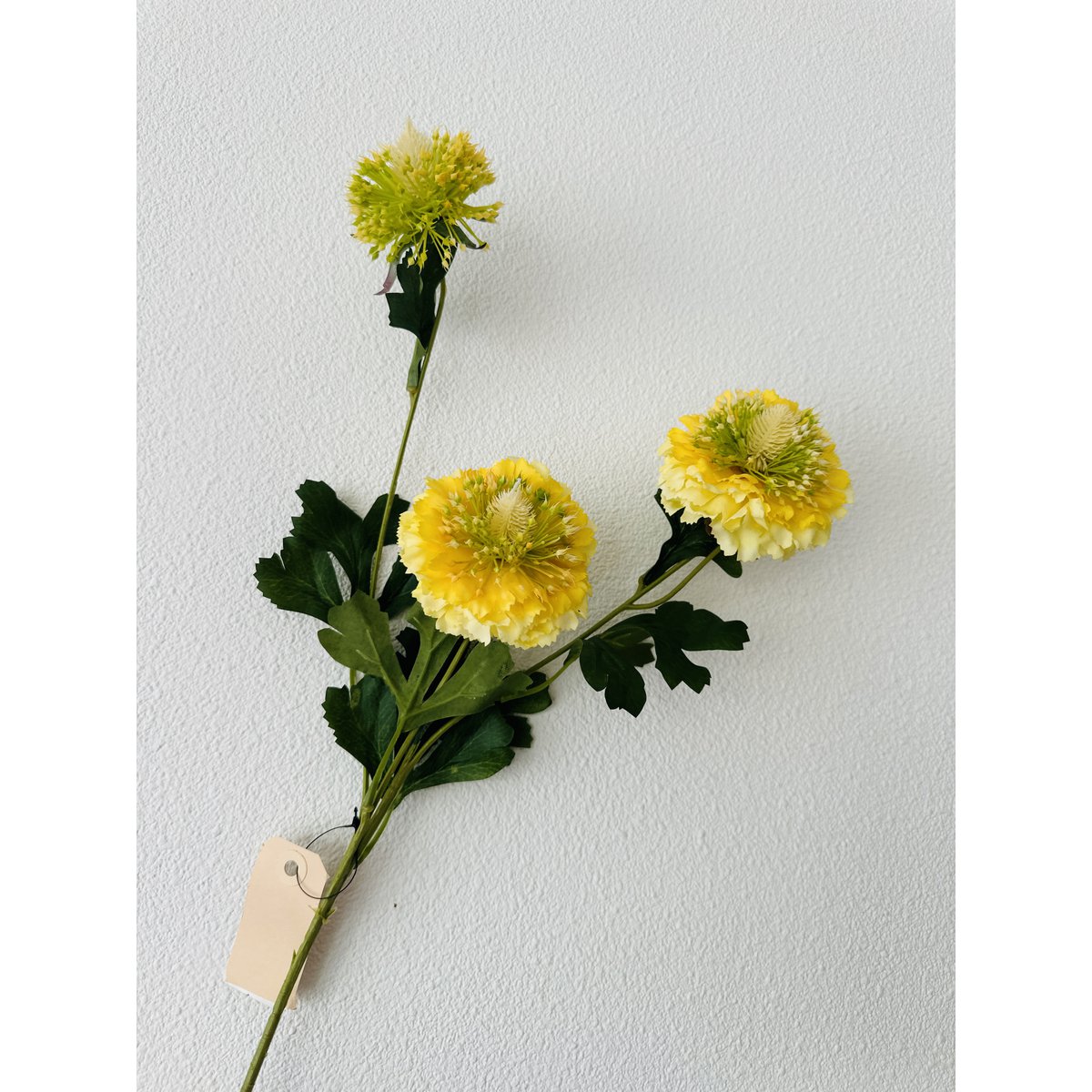 Zijden kunstbloem Scabiosa rood - 80 cm (Set van 2)